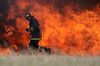 Пострадавшим от пожаров в Сибири выделят почти 143 млн рублей