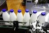 Производители молока опровергли заявления о фальсификации продукции