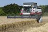 Пшеница вместо нефти. Эксперты предсказали России конец кризиса и рост ВВП