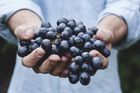 В Японии гроздь винограда продали на аукционе за 11 тысяч долларов