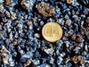 Временный эффект. Девальвация рубля подстегнет инфляцию — эксперты