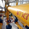 Москва решила проблему газа в ДНР