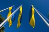 Мораторий на выплату долга Украины перед Россией вступил в силу