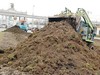 Газон — на один сезон?