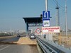 Чума свиней захватила Волгоградскую область