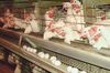 Россия может начать поставки мясной продукции в Китай, Малайзию и Вьетнам