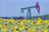 Мировые цены на нефть растут в ожидании снижения добычи в США