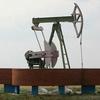 Нефть провалилась ниже 30 долларов за баррель