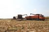 Россия намерена увеличить поставки сельхозпродукции в Китай