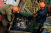 Модернизировать, не мешкая? Какие перемены нужны рыболовному флоту