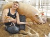 Свиньи не пахнут.Бывший музыкант выращивает благоухающих поросят