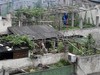 Деревенские деньги спасут от бедности?