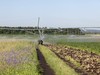 Иван Стариков: Пашня или болото?
