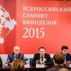Пить российское вино уже не стыдно 
