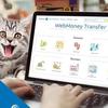 Киев ополчился на Яндекс.Деньги и Webmoney