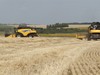 Земля - крестьянам? Власти готовят новую земельную реформу
