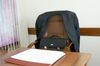 Средняя зарплата федеральных чиновников в 2014 году составила 109 тыс. руб.