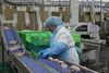 Белоруссия приостановила поставки в Россию товаров животного происхождения
