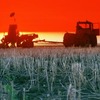 Россию ждет аграрная катастрофа