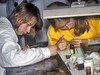 Артисты или финансисты.Какие специальности выбрали поступившие в институты этим летом?