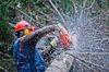 Все профессии вредны. Как сохранить здоровье на службе?