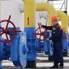 Туркмения спешит обскакать "Газпром" в Европе