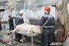 Производители свинины во Франции страдают от российских санкций - СМИ